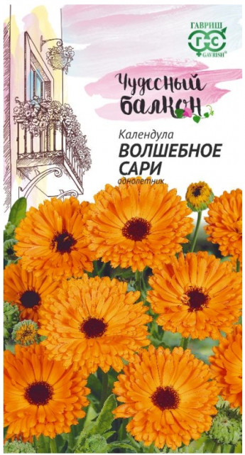Календула Волшебное Сари Гавриш 