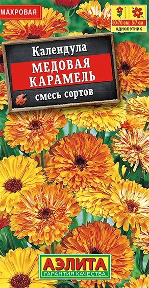 Календула Медовая Карамель Аэлита 