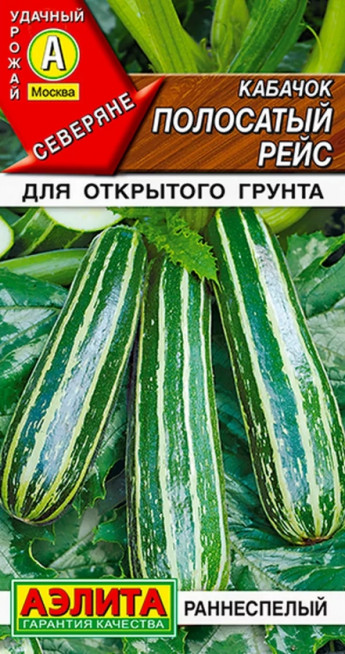 Кабачок цук Полосатый Рейс Аэлита 