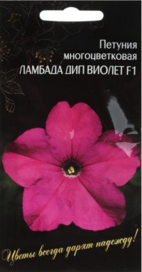 Петуния Ламбада Дип Виолет Темно-Ро