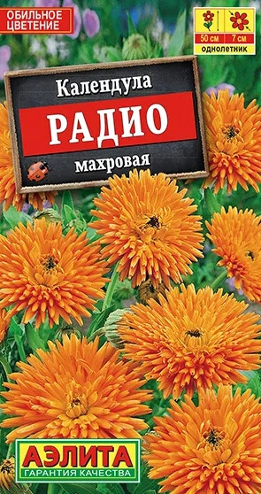 Календула Радио Аэлита 