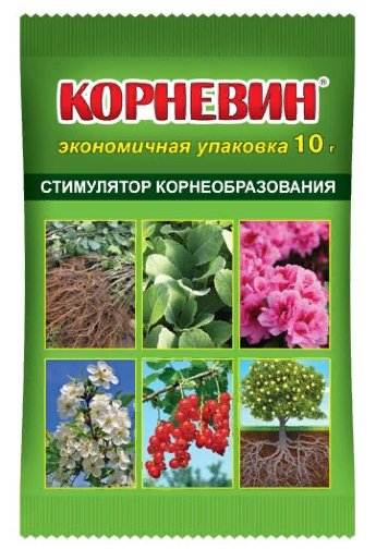Корневин пак.10г В/Х 