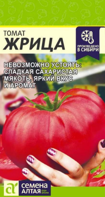 Томат Жрица Сем.Алтая 