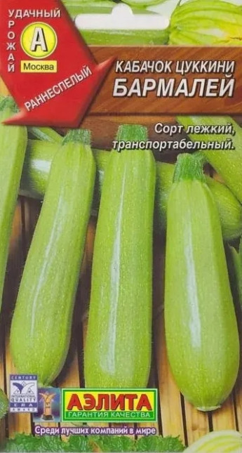 Кабачок цук Бармалей Аэлита 