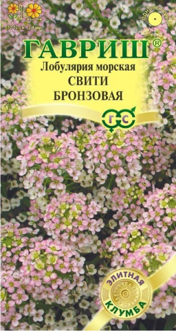 Лобулярия Свити Бронзовая Гавриш 