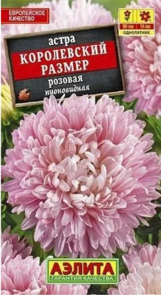 Астра Королевский Размер РОЗОВАЯ 