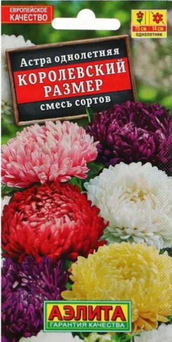Астра Королевский Размер СМЕСЬ окр. 